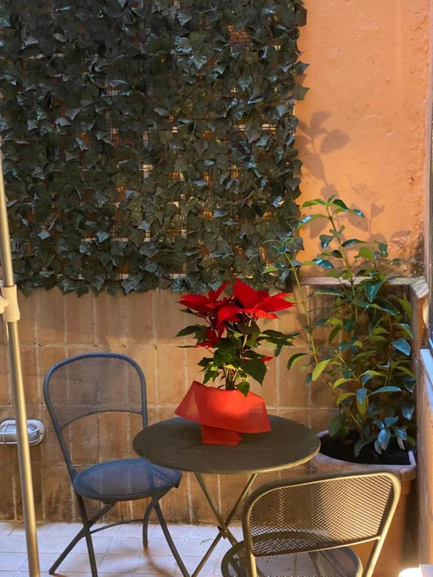 Navona Domitia Apartment *